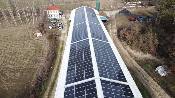 Göynük'te Tavuk Kümeslerinden Temiz Enerji Üretiliyor