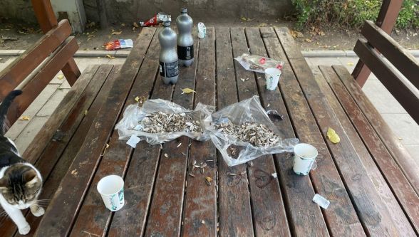 Akşemseddin Torunlarına Bu Görüntü Yakışmadı