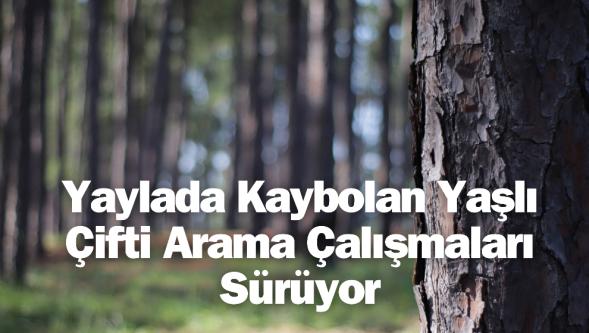 Yaylada Kaybolan Yaşlı Çifti Arama Çalışmaları Sürüyor