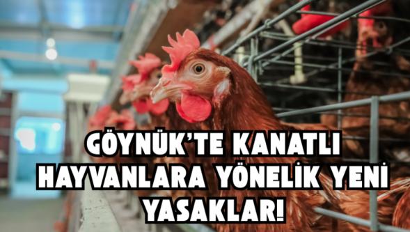 Göynük'te Kanatlı Hayvanlara Yönelik Yeni Yasaklar!