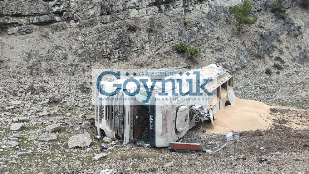 Yem Yüklü Kamyon Sünnet Köyü'nde Şarampole Devrildi