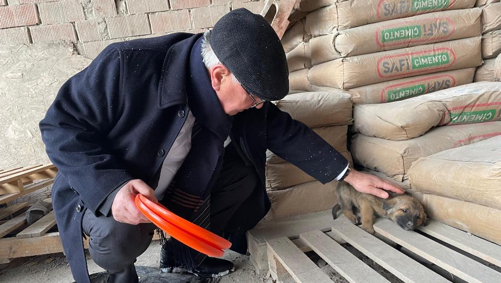 Başkan Ali Oral, Sokak Hayvanlarını Elleriyle Besledi