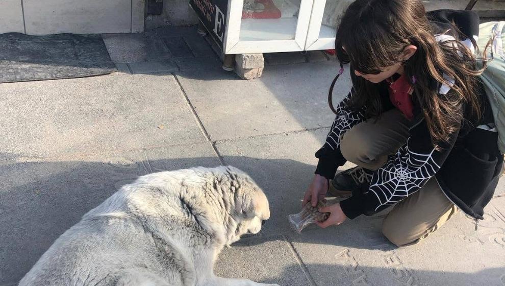 Göynük Ortaokulu'ndan Sokak Hayvanlarına Mama Desteği