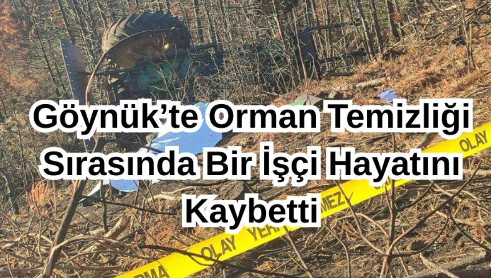 Göynük'te Orman Temizliği Sırasında Bir İşçi Hayatını Kaybetti