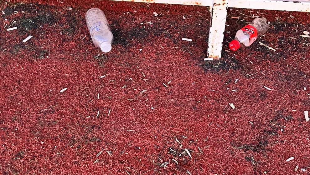Beybahçesi Kirleniyor, Vatandaşlar Tepkili: “Ceza Şart!”