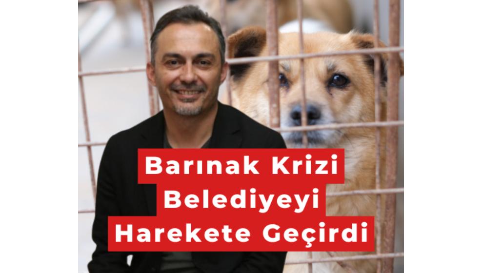 Veteriner İşleri Rasim Özdemir'e Bağlandı