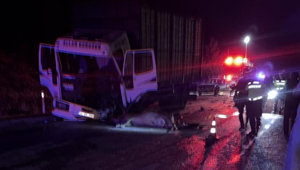 Yola Fırlayan Geyik Faciaya Neden Oldu: 1 Ölü, 1 Yaralı