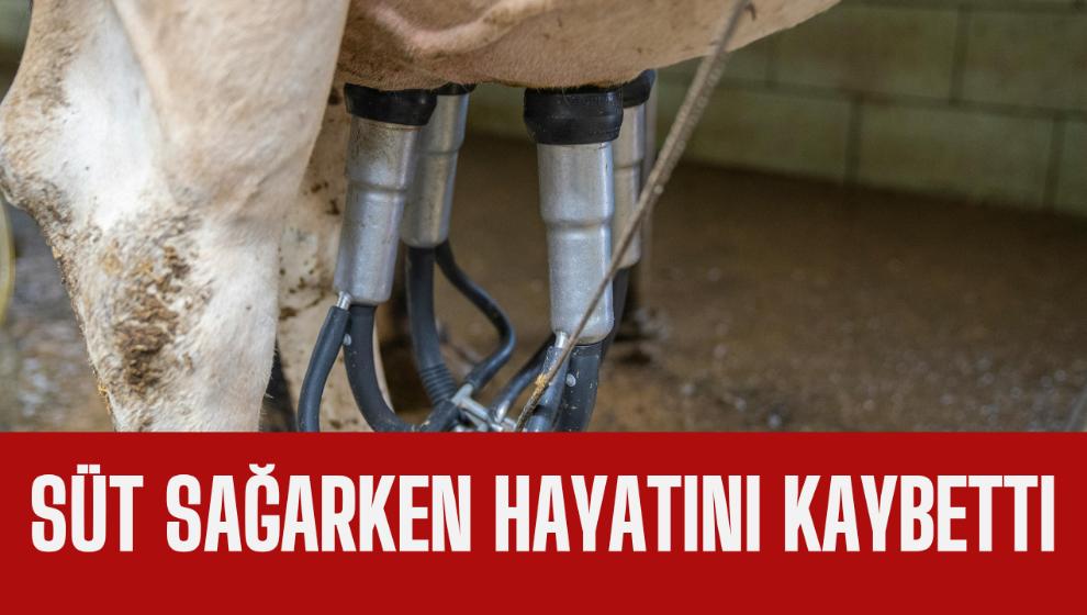 Süt Sağarken Hayatını Kaybetti