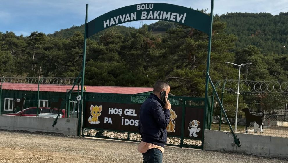 Bolu Barınağında Belirsizlik Sürüyor: “Kış Kapıda, Tecrübelerimiz Hayat Kurtaracaktır”